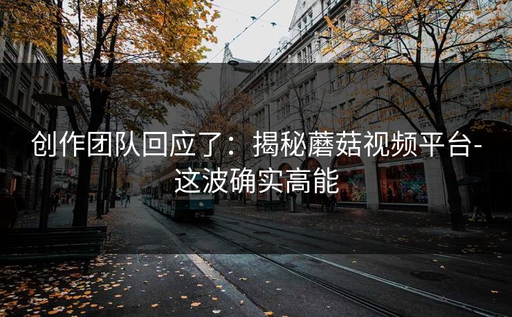 创作团队回应了：揭秘蘑菇视频平台-这波确实高能