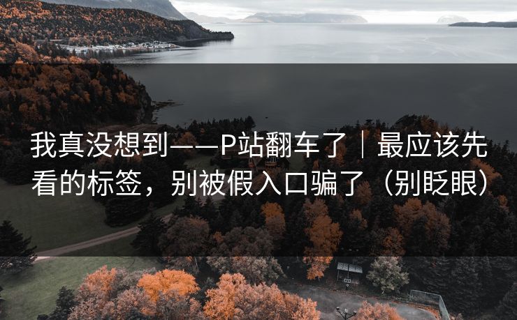 我真没想到——P站翻车了｜最应该先看的标签，别被假入口骗了（别眨眼）